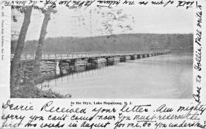 LAKE HOPTACONG NEW JERSEY~IN THE STYX-FRANZ HULD #886 PUBL POSTCARD 1905 PMK