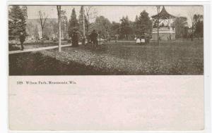 Wilson Park Menomonie Wisconsin 1910 postcard