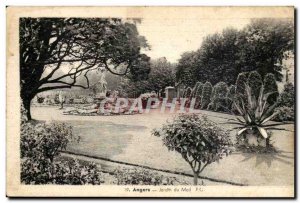 Angers Old Postcard Jardin du Mail