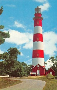 Assateague Island, Virginia Lighthouse c1960s Chrome Vintage Postcard