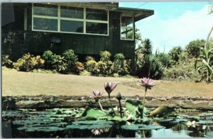 Plantation Gardens at Koloa Poipu Beach on Kauai Hawaii Postcard