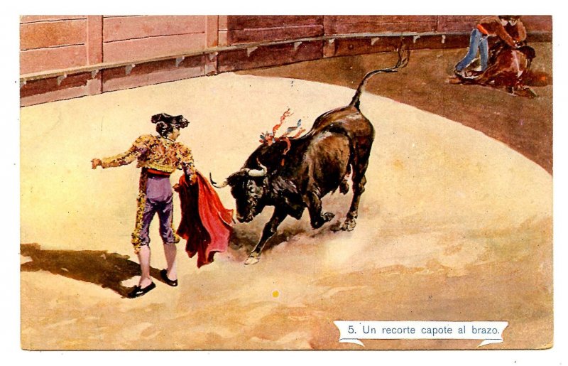 Bullfighting - A Cape Cutout to the Arm