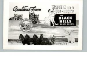 SD Cats State Coach Postcard