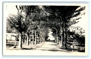 Early Calle Palmas Palms Street Varadero Cuba Real Photo RPPC Postcard (B12)