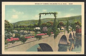 Massachusetts, Shelburne Falls - Bridge Of Flowers - [MA-730]