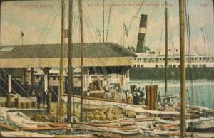 NORFOLK VA Dominion Wharf Shipping Scene c1910 PC