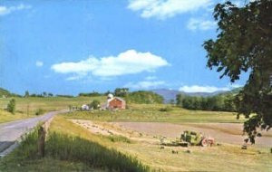 Vermont Farm - Poultney Postcard