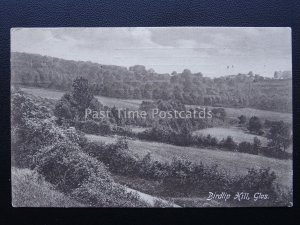 Gloucestershire BIRDLIP HILL c1910 Postcard by Frith 59063