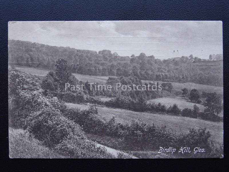 Gloucestershire BIRDLIP HILL c1910 Postcard by Frith 59063