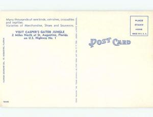 W-Border ALLIGATOR OPENS MOUTH AT CASPER'S GATORS JUNGLE St. Augustine FL E8284