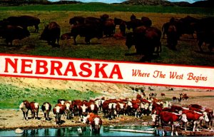 Nebraska Where The West Begins Showing Buffalo Herd and Cattle Herd