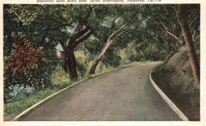 Vintage Postcard 1920's Auto Road near Hotel Huntington Pasadena California