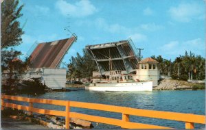 Postcard FL Hollywood - Hollywood Boulevard Drawbridge