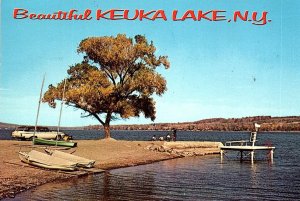 1960s KEUKA LAKE NEW YORK SAILBOATS OLD STATION WAGON CHROME POSTCARD P968