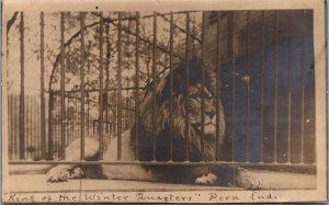 RPPC Peru Indiana Wallace Hagenbeck circus  Lion King of Winter Headquarters