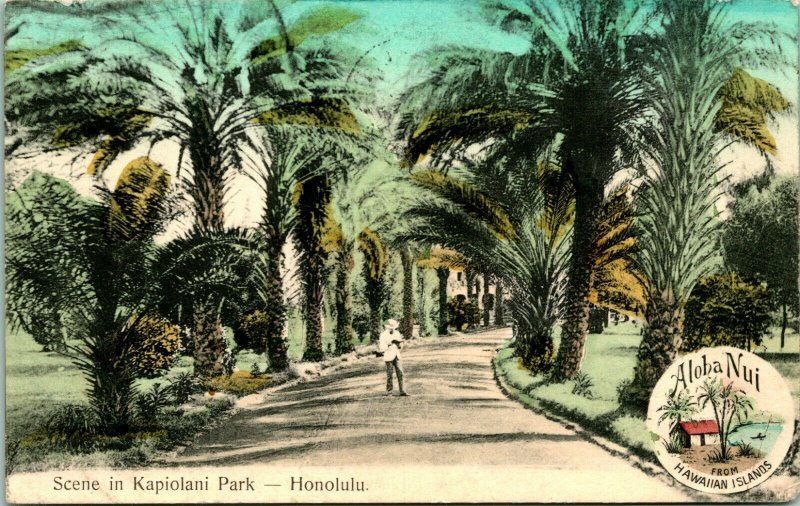 Vtg Postcard 1909 - Scene in Kapiolani Park - Honolulu Hawaii