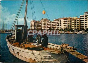 Modern Postcard The French Riviera Var Hyeres Port St. Peter Palms Boat