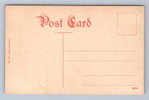 JACKSON PARK GOLF LINK CHICAGO ILLINOIS POSTCARD (c. 1910)