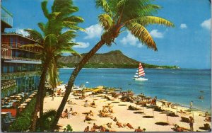 Postcard Hawaii - The Reef Hotel - Beach with Palm tree, Diamond Head Catamaran