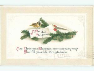 Divided-Back CHRISTMAS BIRDS SCENE Pretty Postcard W8526