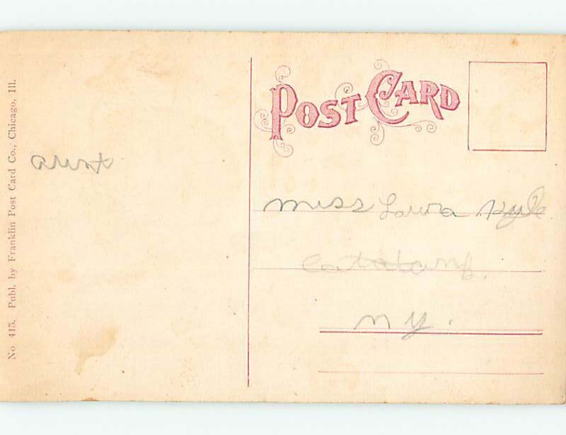 Divided-Back ZOO SCENE Chicago Illinois IL AG1962