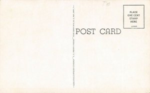 LPS07 Upper Sandusky Ohio Berry's Spring Vintage Postcard 