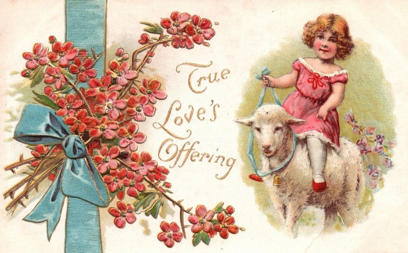 Vintage Postcard 1910's True Loves Offering Cute Girl Riding Sheep Greetings