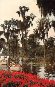 Sightseeing Boats in Cypress Gardens FL