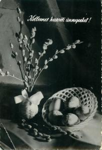 Easter eggs photo postcard Hungary