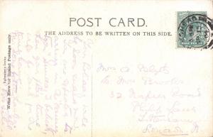 JERSEY CHANNEL ISLANDS UK~VINCHELEZ LANE~POSTCARD 1904