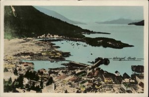 Wrangell Alaska AK Harbor Bird's Eye View Tinted Real Photo Vintage Postcard