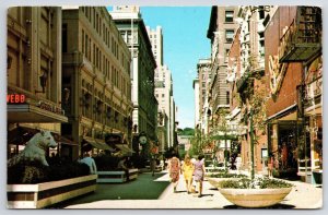 Street View Shopping Center Westminster Mall Providence Rhode Island RI Postcard