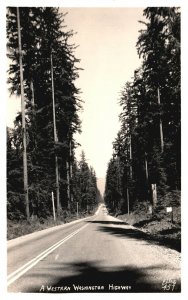 Vintage Postcard 1920's View of  A Western Washington Highway WA