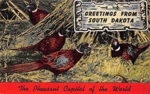The pheasant capital of the world Greetings from South Dakota Greetings from SD 
