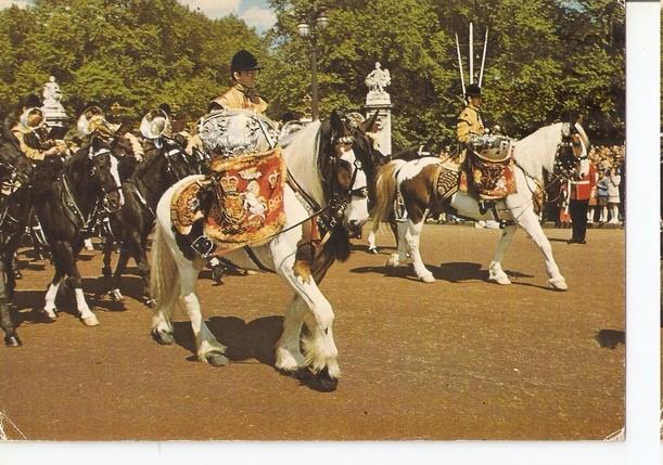 Postal 047589 : Drum horses London