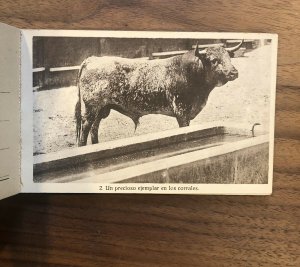 Vintage Picture Postcard Booklet; Bull Fighting, Corrida De Touros SPAIN MADRID