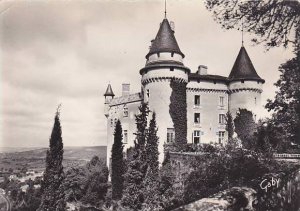 France Mercues Le Chateau Facade Est Monument Historique Photo