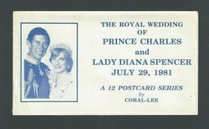 1981 Commemorative Envelope Only No Cards Of Royal Wedding Of Price Charles &---