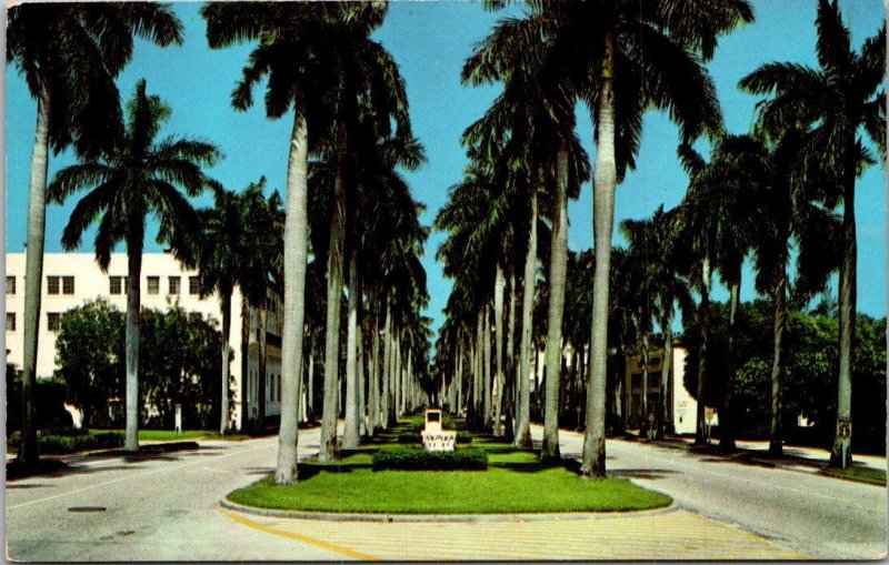 Florida Palm Bay Royal Palm Way