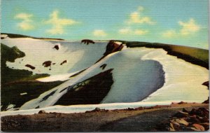 Vtg View at Fall River Pass Trail Ridge Road Rocky Mountains Colorado Postcard