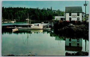Christmas Cove Maine 1950s Postcard View At South Bristol