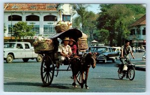 Horse Drawn Carriage on way to Market VIETNAM Postcard