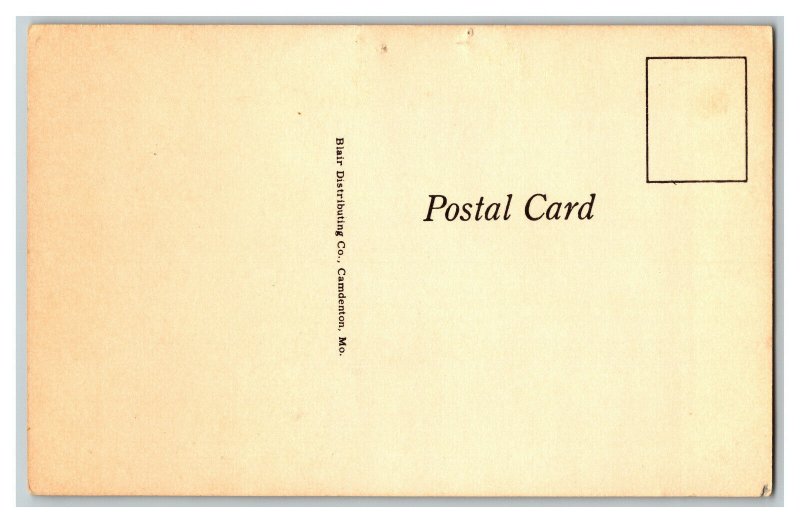 Postcard Helping With Solution Contributing To Problem Vtg. Standard View Card 