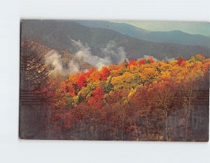 Postcard Fall Colors, Transmountain Highway, Great Smoky Mountains National Park