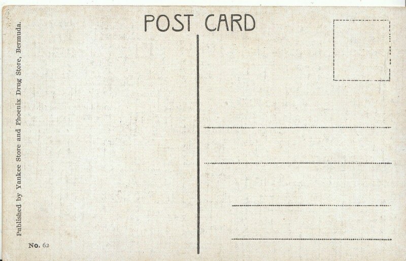 America Postcard - Bermuda - Giant Rubber Tree - Planted 1847  A5750