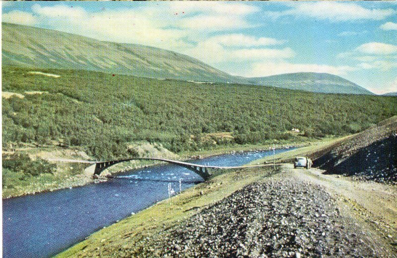 POSTCARD. ICELAND. Fnjoskadalur with brush land