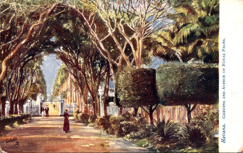 Cuba Havana Gardens and Avenue Of Royal Palms Tucks