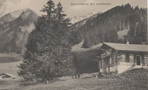 Adelboden Shermtanne Restaurant Switzerland Postcard & Frank