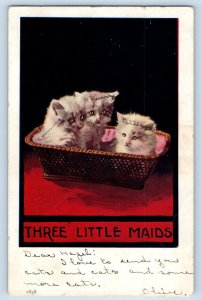 Dexter Minnesota MN Postcard Cute Cat Kittens On Basket Three Little Maids 1907