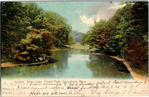 Swan Lake, Forest Park Springfield MA c1907 UDB Vintage Postcard V28